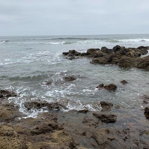 Meet your Posher, Brenda